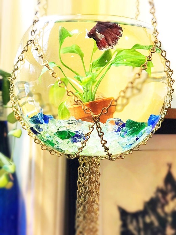 Items similar to Macrame, Chain, Hanging Beta Fish Bowl, Hanging Fish