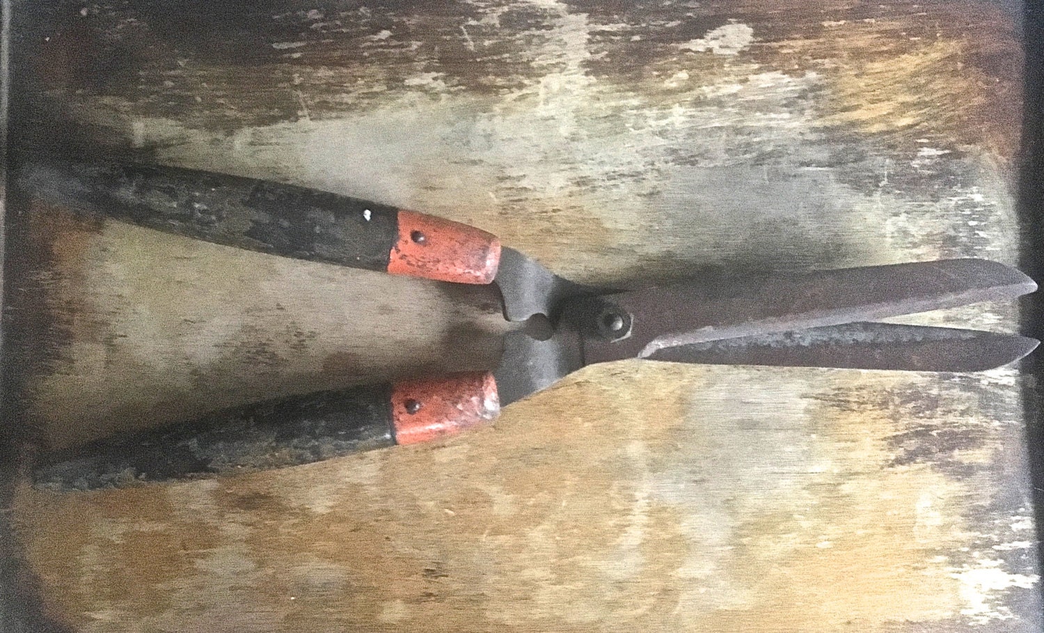 Vintage Rustic Garden Hedge Clippers Shears Orange Wood Handle Rusty
