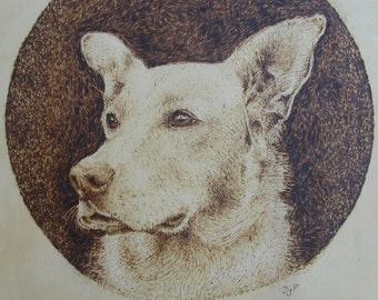 Pyrography - Custom Pet Portrait