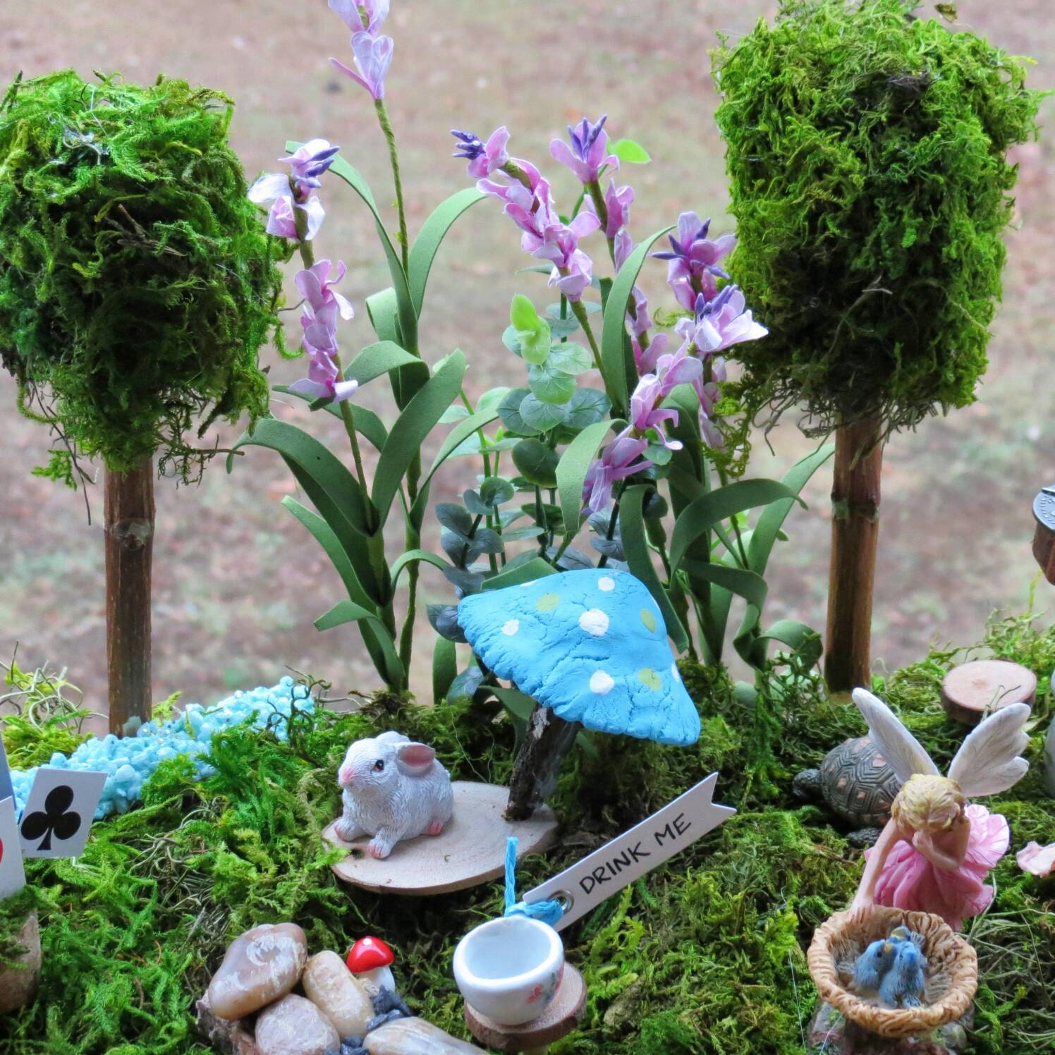 Complete Fairy Garden Kit with Container Alice in Wonderland