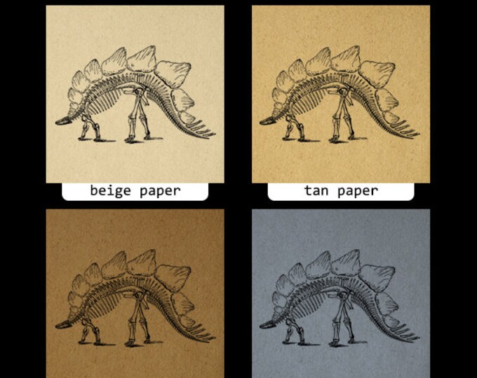 Stegosaurus Dinosaur Skeleton Digital Image Download Printable Graphic Vintage Clip Art Jpg Png Eps HQ No.2739