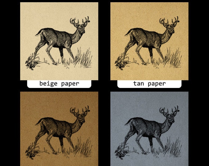 Deer Digital Image Printable Animal Download Graphic Illustration Vintage Clip Art Jpg Png Eps HQ 300dpi No.4140