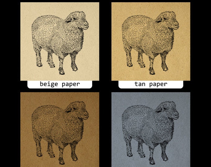 Printable Oxford Down Sheep Digital Download Image Farm Animal Graphic Vintage Clip Art Jpg Png Eps HQ 300dpi No.3471