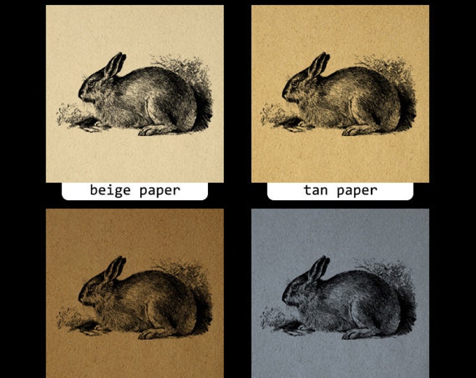 Printable Image Antique Rabbit Download Bunny Illustration Graphic Digital Vintage Clip Art Jpg Png Eps HQ 300dpi No.3652