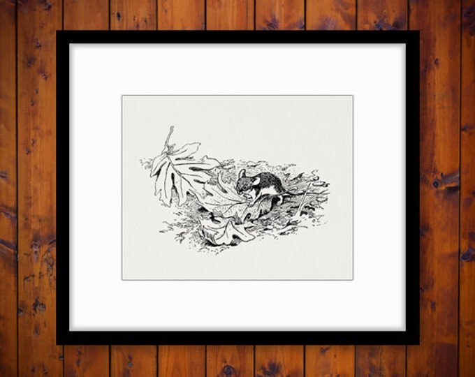 Digital Printable Little Mouse Download Graphic Image Artwork Vintage Clip Art Jpg Png Eps HQ 300dpi No.2177