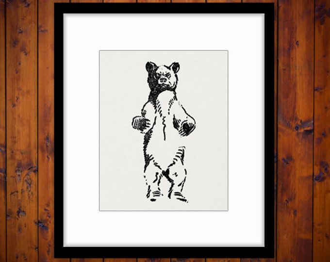 Printable Wild Bear Image Download Illustration Digital Graphic Antique Clip Art Jpg Png Eps HQ 300dpi No.1624