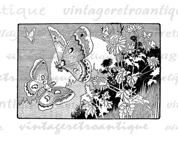 Digital Printable Butterflies Download Antique Illustration Graphic Image Vintage Clip Art Jpg Png Eps HQ 300dpi No.754