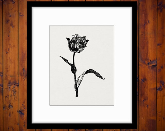 Printable Image Fairy in Flower Digital Illustration Download Graphic Antique Clip Art Jpg Png Eps HQ 300dpi No.3812