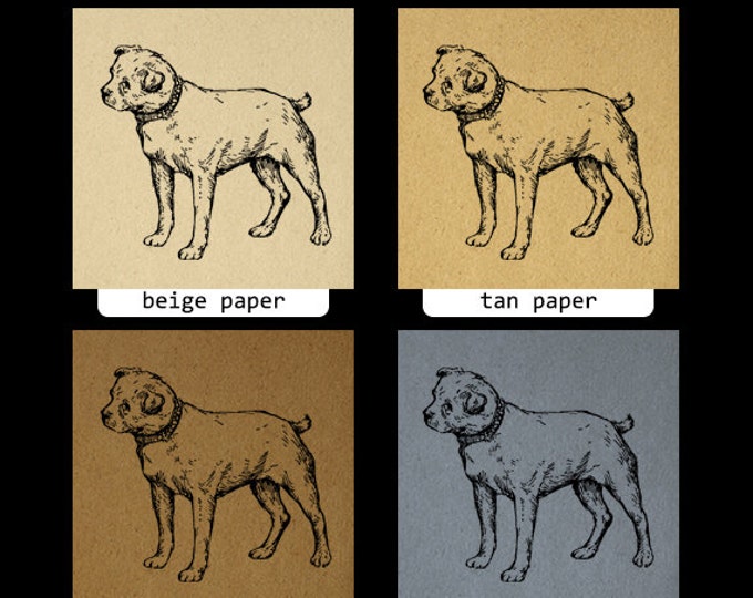 Dog Antique Graphic Digital Printable Download Image Jpg Png Eps HQ 300dpi No.280