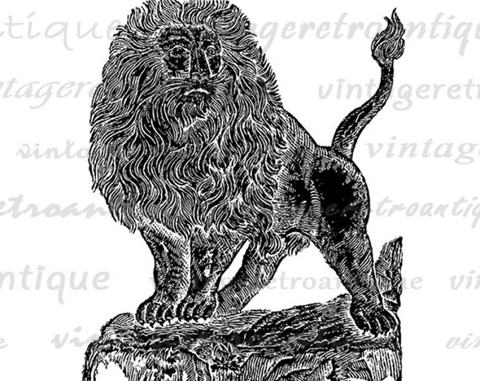 Majestic Lion Digital Graphic Printable Image Antique Lion Illustration Download HQ 300dpi No.3921