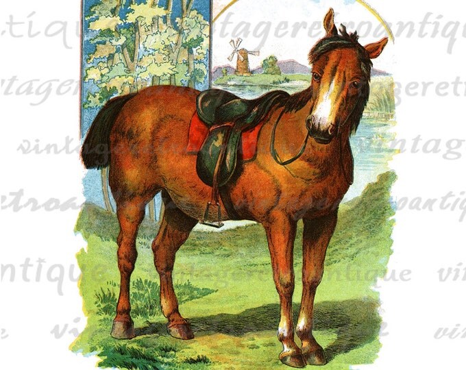 Classic Horse Illustration Digital Image Download Printable Graphic Vintage Clip Art No.2053