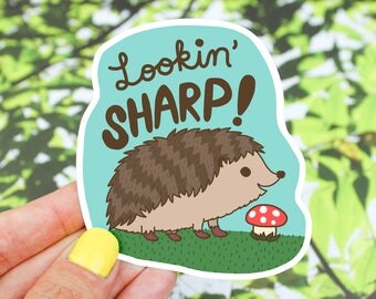 Hedgehog Sticker, MacBook Decals, Vinyl Sticker, Lookin' Sharp, Birthday Gift, Tumbler Decal, Gift For Her, Laptop Sticker, Car Decal, Cute