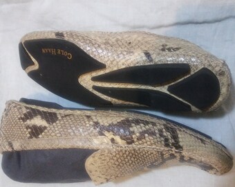 Snake skin shoes