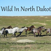 North dakota craps