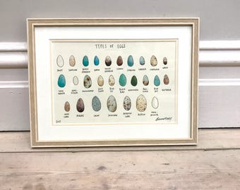 Framed Original illustration - Types of Eggs