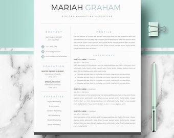 Professional Resume Template | Resume Template for Word | CV Template + Cover Letter & References + Resume Writing guide | Instant Download