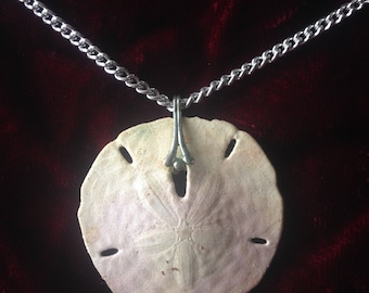 Sand Dollar Necklace