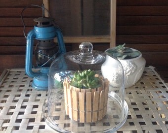 Cloche and Plate Glass Cloche and Glass Plate mini Vignette Decorative Accent Succulent Cloche Cheeses Plate