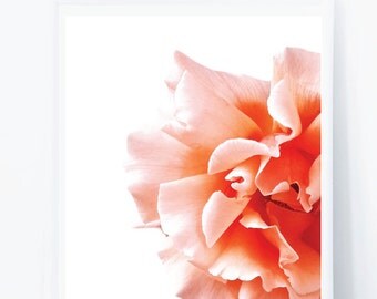 Wall Art, Flower Art, Flower Art Prints , Flower Wall Art, Digital Art Print, Art Prints, Digital Download Art, SUMMER 2017 Wall Art