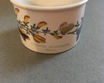 Vintage Portmeiron Botanic Garden Stackable Ramekin- 1972 Broom