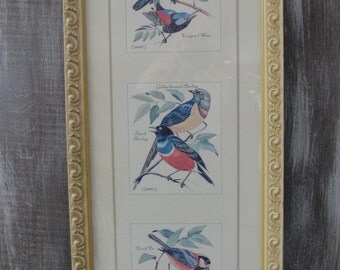 Turner Wall Accessory, Rare Birds Trio, Country Cottage decor, vintage shabby chic picture frame, bird lovers, creamy yellow