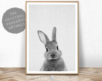 Rabbit Print, Baby Animal Prints, Woodland Nursery Decor, Bunny Wall Art Print, Large Printable Poster, Digital Download, Black and White