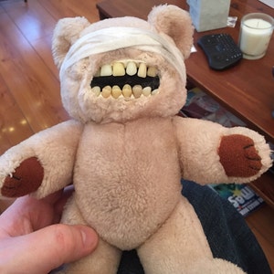 real teeth teddy bear