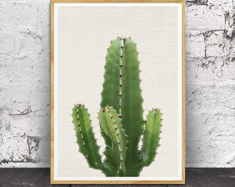 Cactus Wall Art cactus wall art baby girl decor girls nursery decor baby Cactus Wall Art cactus wall art baby girl decor girls nursery decor baby
