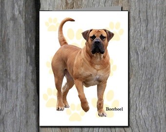 Resultado de imagen para Boerboel dog, related cards