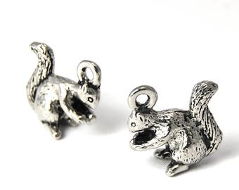 2pc, Squirrel Charm, Pewter