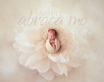 newborn digital background/flower newborn digital backdrop/instant download