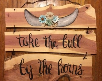 Take The Bull By The Horns
