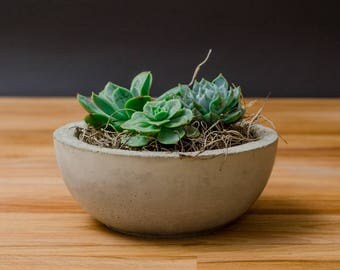 Concrete Planter, Succulent Plant Pot, Succulent Planter, Handmade, Rustic Home Decor, Gift, Gift idea, Father's day gifts, Dad Gift