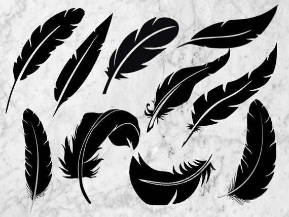 Download Feathers Svg Clipart Feather vector Feather dfx svg eps