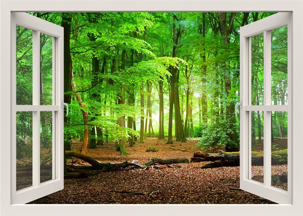 Green Forest Wall Decal 3d Window Frame Wall Decal Trees