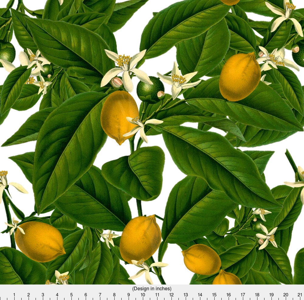 Lemon Fabric Lemon Botanical By Peacoquettedesigns Lemon Summer