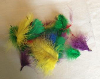 Assorted Colorful Feathers