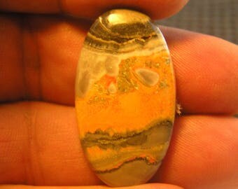 Bumblebee Jasper Freeform Designer Cabochon