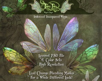 Iridescent Bee Fairy Wings Transparencies PNG Files