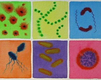 Bacteria Rainbow 30 - original watercolor painting of microbes