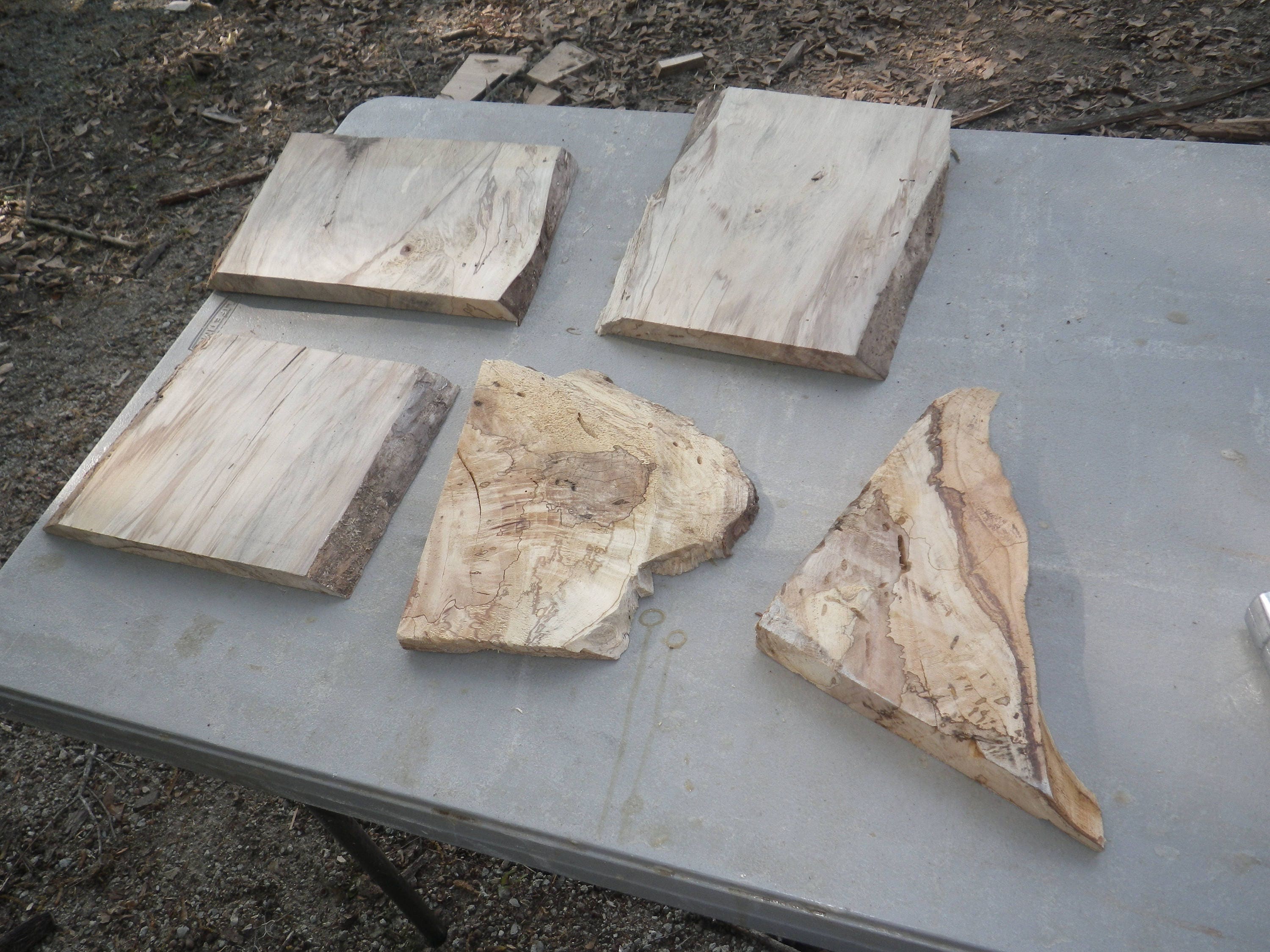 UNFINISHED Live Edge Wood Slab Set of 5 Live Edge Set