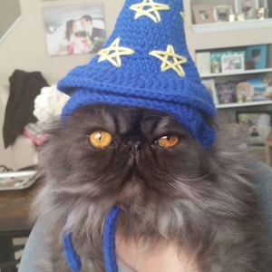 Wizard Cat Hat Wizard Cat Costume Wizard Hat for Cats