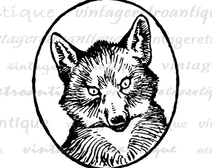 Printable Fox Portrait Graphic Digital Antique Illustration Image Animal Download Vintage Clip Art Jpg Png Eps HQ 300dpi No.862