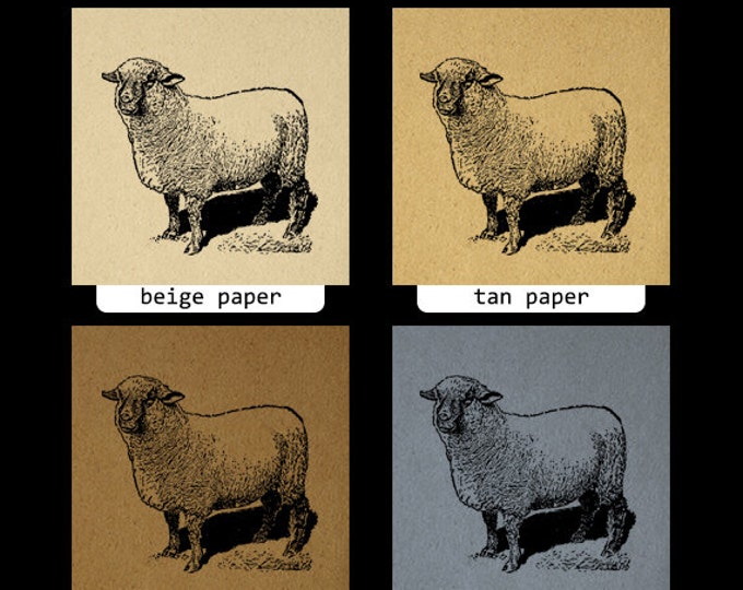 Digital Printable Antique Sheep Image Farm Animal Download Graphic Vintage Clip Art Jpg Png Eps HQ 300dpi No.3187