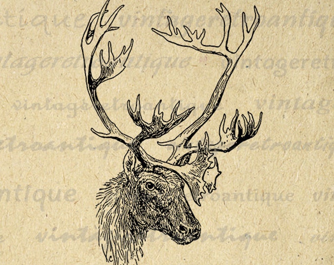 Printable Image Deer with Antlers Graphic Animal Digital Download Vintage Clip Art Jpg Png Eps HQ 300dpi No.497