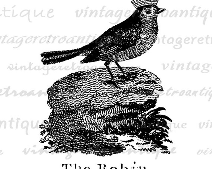 Robin with Crown Digital Graphic Image Bird Illustration Printable Download Vintage Clip Art Jpg Png Eps HQ 300dpi No.1017