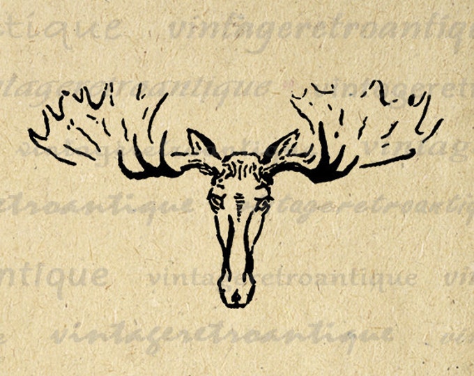 Digital Printable Moose Antique Graphic Illustration Download Image Vintage Clip Art Jpg Png Eps HQ 300dpi No.1661