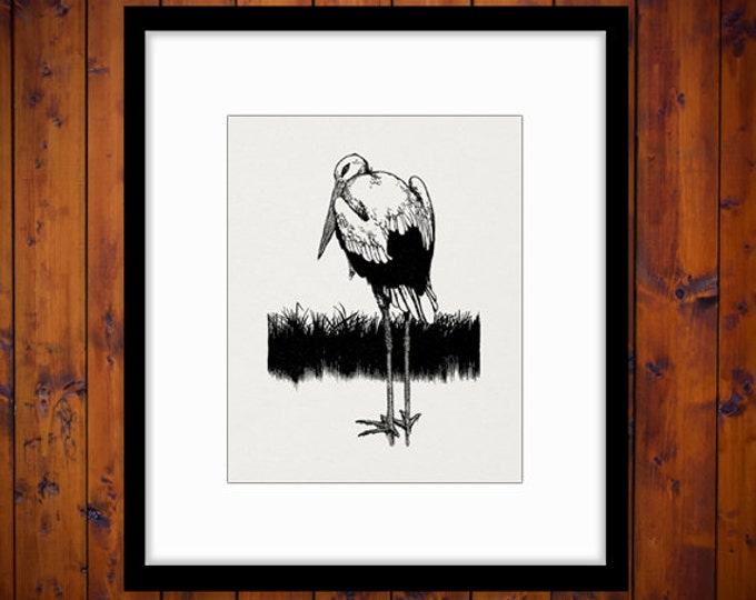 Digital Printable Stork Graphic Illustration Download Bird Image Antique Clip Art Jpg Png Eps HQ 300dpi No.3856