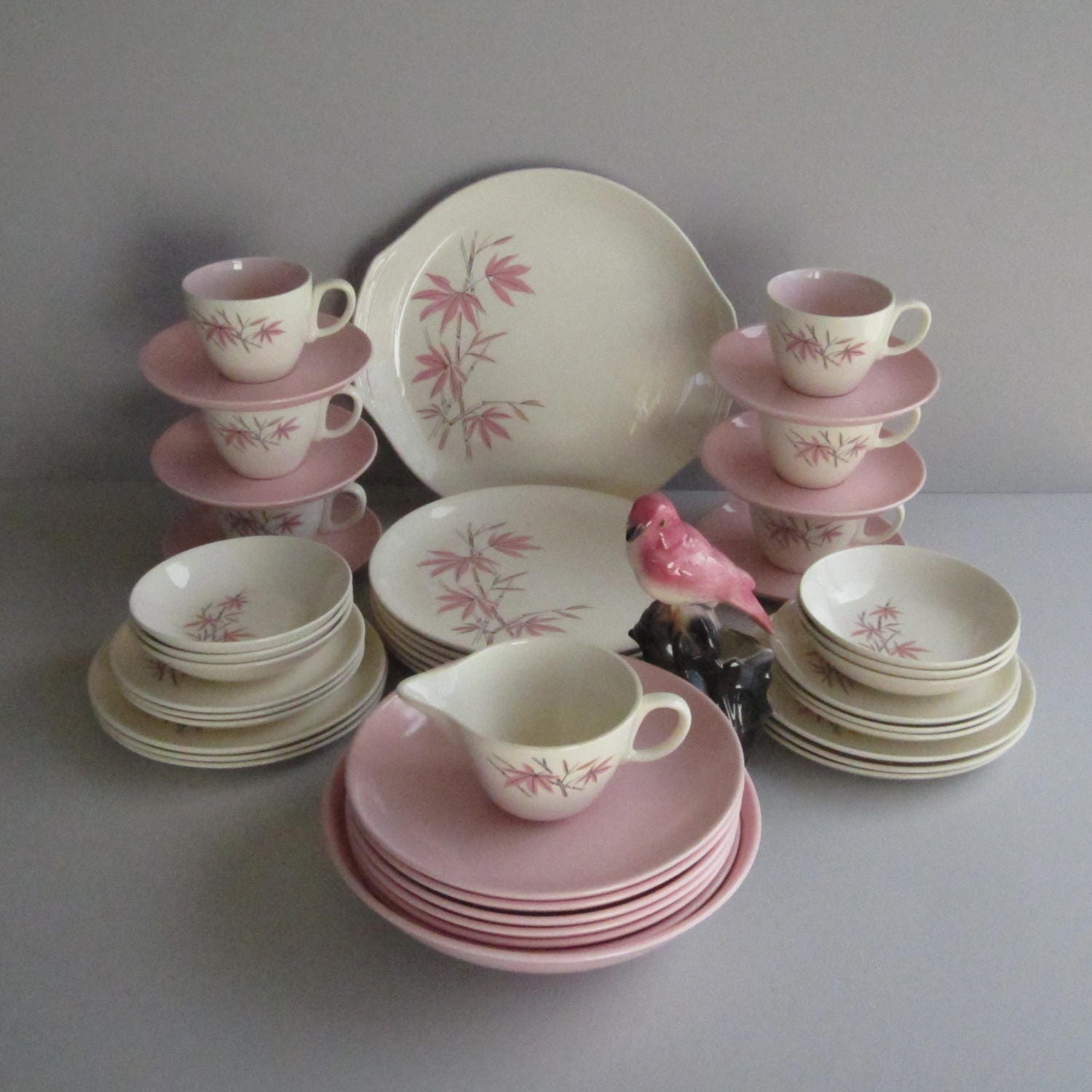Salem China Pink Bamboo A 42 Piece Dinnerware Set for 6