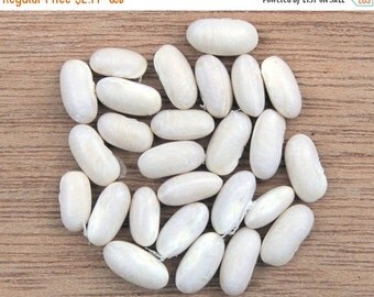 Giant Aztec white runner beans aka bordal by CaribbeanGarden